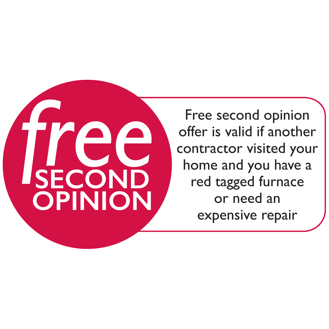 Free Second Opinion Logo